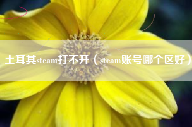 土耳其steam打不开（steam账号哪个区好）