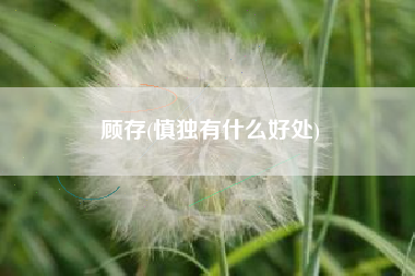 顾存(慎独有什么好处)