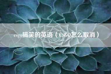 csgo搞笑的英语（CSGO怎么取消）