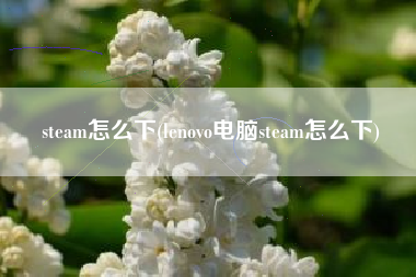 steam怎么下(lenovo电脑steam怎么下)