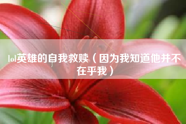 lol英雄的自我救赎（因为我知道他并不在乎我）