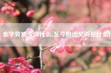 金字旁加今读什么(至今的近义词是什么)