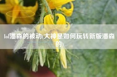 lol潘森的被动(大神是如何玩转新版潘森的)