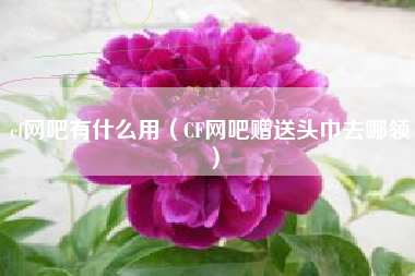 cf网吧有什么用（CF网吧赠送头巾去哪领）