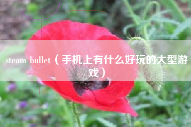 steam bullet（手机上有什么好玩的大型游戏）