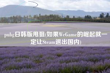 pubg日韩版甩狙(如果WeGame的崛起就一定让Steam退出国内)