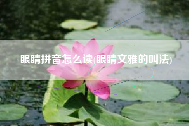 眼睛拼音怎么读(眼睛文雅的叫法)