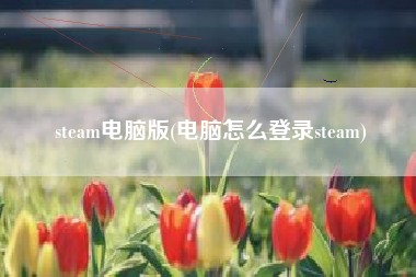 steam电脑版(电脑怎么登录steam)