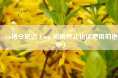 csgo指令说话（csgo休闲模式也能使用的指令）