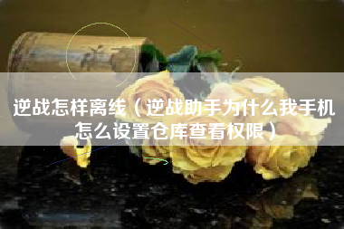 逆战怎样离线（逆战助手为什么我手机怎么设置仓库查看权限）