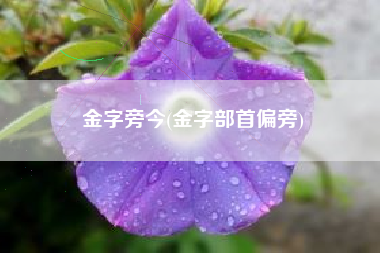 金字旁今(金字部首偏旁)