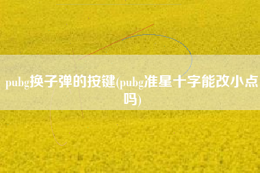 pubg换子弹的按键(pubg准星十字能改小点吗)