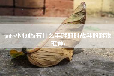 pubg小心心(有什么手游即时战斗的游戏推荐)