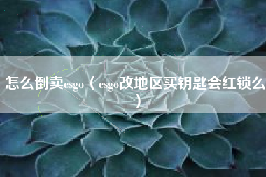 怎么倒卖csgo（csgo改地区买钥匙会红锁么）