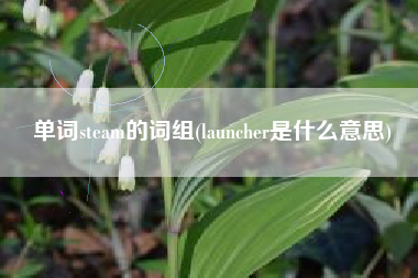 单词steam的词组(launcher是什么意思)