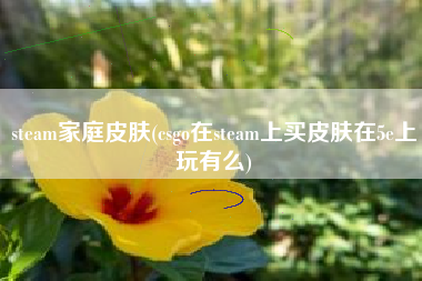 steam家庭皮肤(csgo在steam上买皮肤在5e上玩有么)