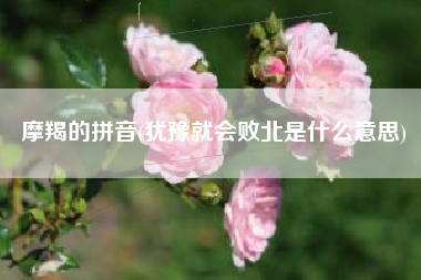 摩羯的拼音(犹豫就会败北是什么意思)