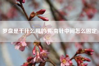 罗盘是干什么用的(指南针中间怎么固定)