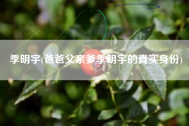 季明宇(爸爸父亲爹季明宇的真实身份)