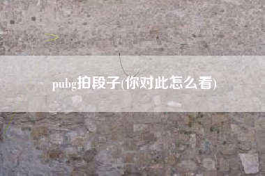 pubg拍段子(你对此怎么看)