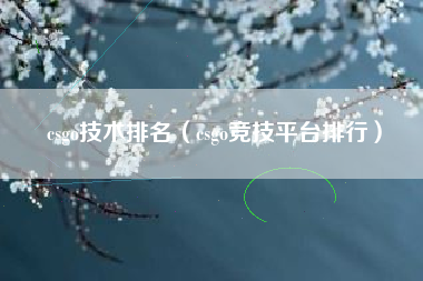 csgo技术排名（csgo竞技平台排行）