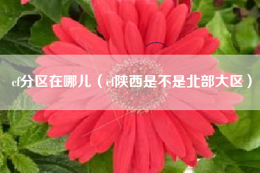 cf分区在哪儿（cf陕西是不是北部大区）