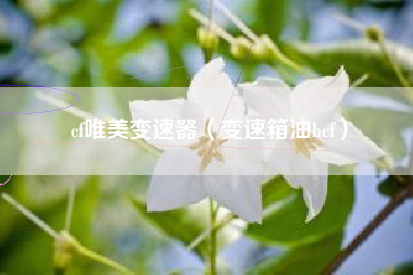 cf唯美变速器（变速箱油hcf）