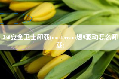 360安全卫士卸载(mastercam想9驱动怎么卸载)