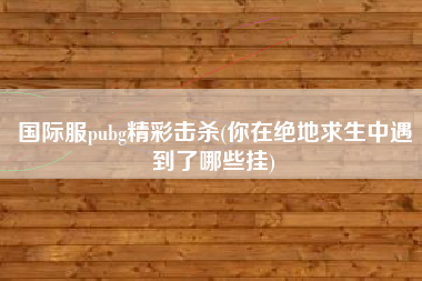 国际服pubg精彩击杀(你在绝地求生中遇到了哪些挂)