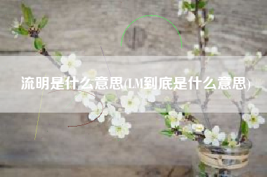 流明是什么意思(LM到底是什么意思)