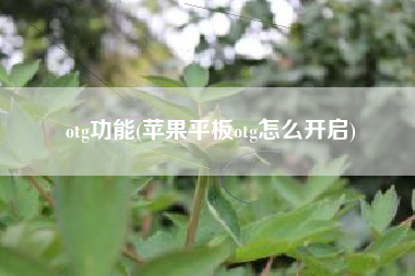 otg功能(苹果平板otg怎么开启)