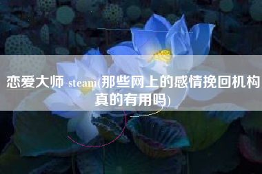 恋爱大师 steam(那些网上的感情挽回机构真的有用吗)