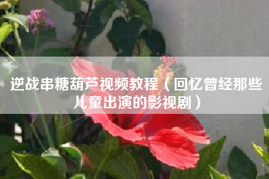 逆战串糖葫芦视频教程（回忆曾经那些儿童出演的影视剧）