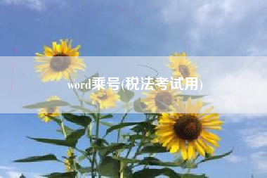 word乘号(税法考试用)