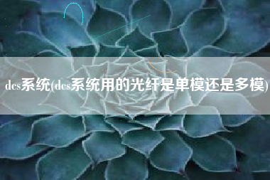 dcs系统(dcs系统用的光纤是单模还是多模)