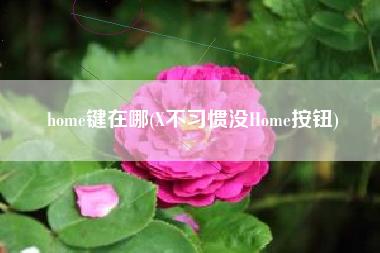 home键在哪(X不习惯没Home按钮)