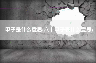 甲子是什么意思(六十甲子表什么意思)