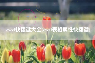 excel快捷键大全(excel表格属性快捷键)