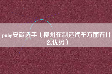 pubg安徽选手（柳州在制造汽车方面有什么优势）