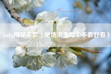 pubg樱花手套（绝地求生哪个手套好看）