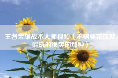 王者荣耀战术大师视频（不需要花钱就能玩的很爽的那种）