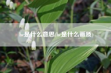 hc是什么意思(hc是什么画质)