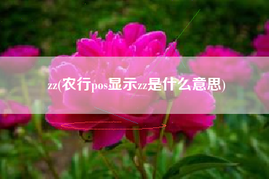 zz(农行pos显示zz是什么意思)