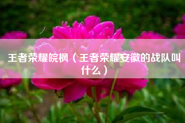 王者荣耀皖枫（王者荣耀安徽的战队叫什么）