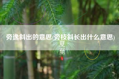 旁逸斜出的意思(旁枝斜长出什么意思)