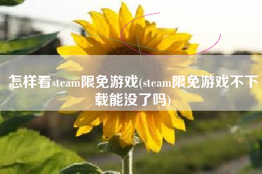 怎样看steam限免游戏(steam限免游戏不下载能没了吗)