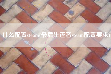 什么配置steam(最后生还者steam配置要求)