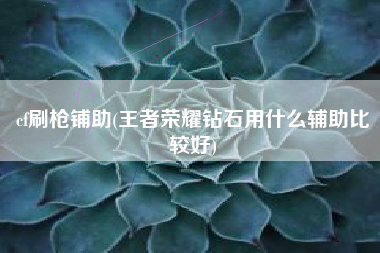 cf刷枪铺助(王者荣耀钻石用什么辅助比较好)