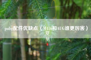 pubg配件优缺点（M416和AUG谁更厉害）