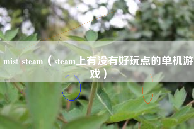 mist steam（steam上有没有好玩点的单机游戏）